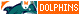 Dolphins Fan